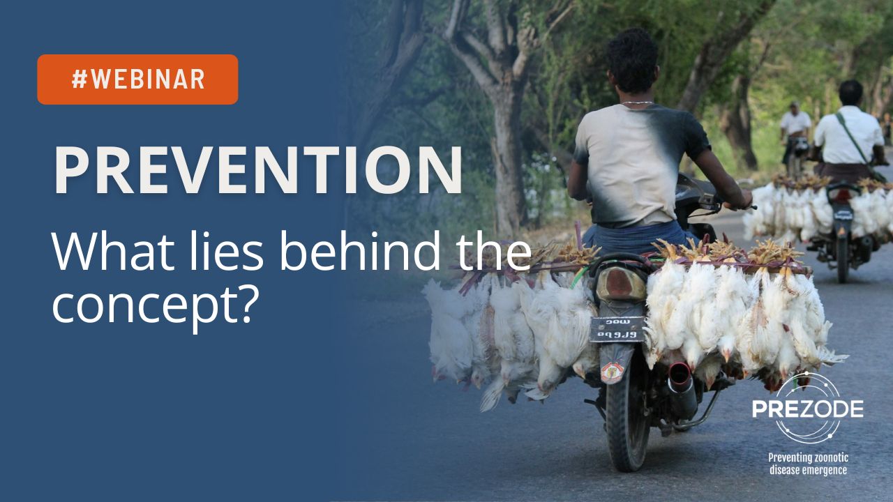What lies behind the concept of prevention? image