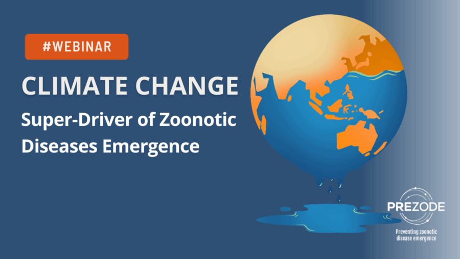 Climate change, super driver of zoonotic diseases emergence? image