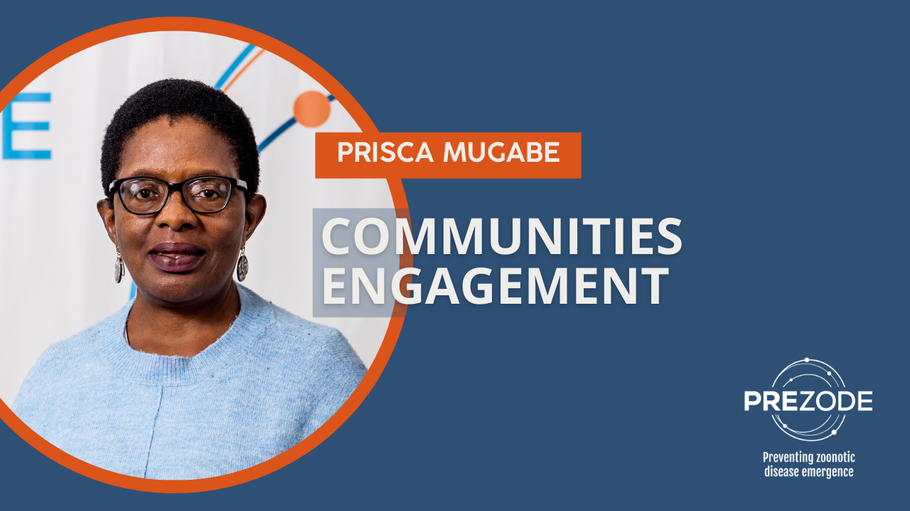 What role do civil society organizations play in the development and implementation of One Health policies? image