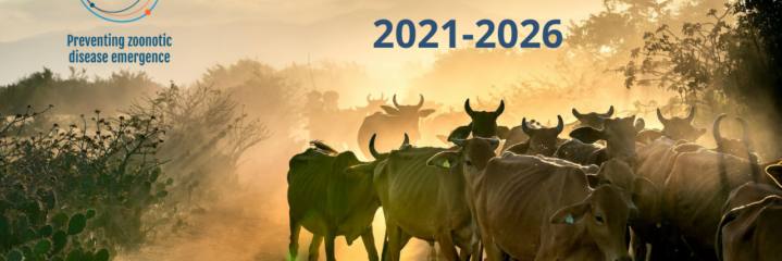 imagePREZODE’s key achievements Since 2021 