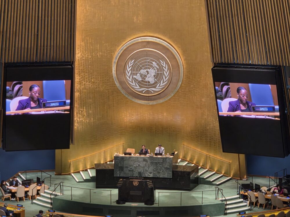Room of the UN in NY
