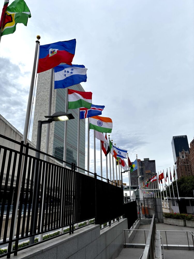 various country flags waving in the wind in front of UN HQ in NYC